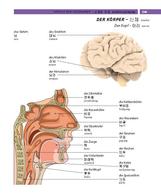 Weitere Ansicht: PONS Bildwörterbuch Koreanisch