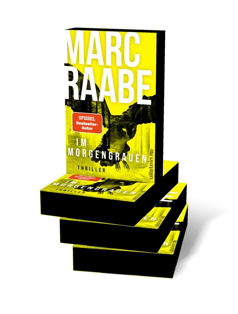 Weitere Ansicht: Im Morgengrauen | Marc Raabe