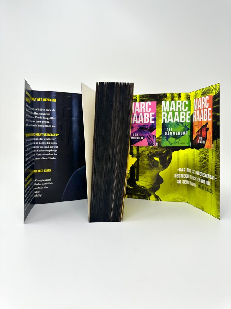 Weitere Ansicht: Im Morgengrauen | Marc Raabe