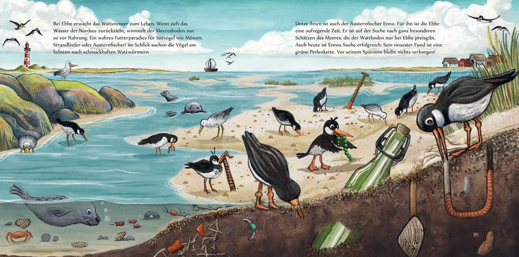 Weitere Ansicht: Enno - Ein Austernfischer auf Schatzsuche | Andrea Reitmeyer