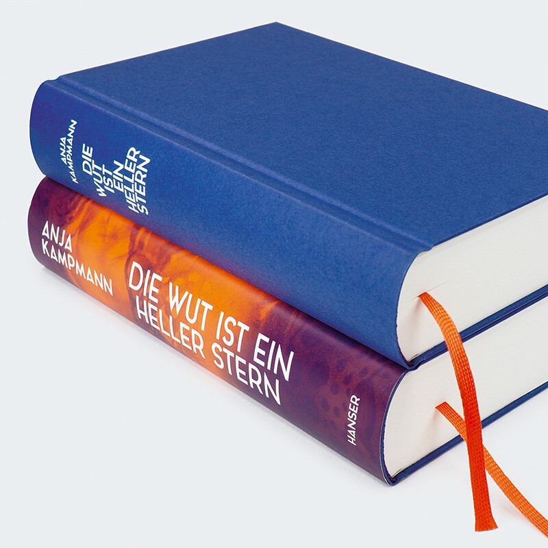 Weitere Ansicht: Die Wut ist ein heller Stern | Anja Kampmann