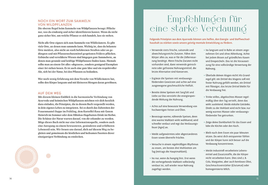 Weitere Ansicht: Ayurveda mit Wildkräutern | Daniela Dörflinger Bruggeman, Andrea Küthe Albrecht