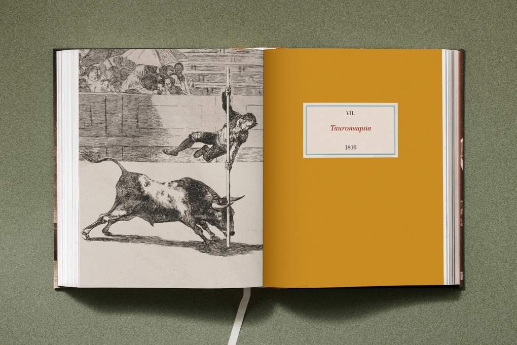 Weitere Ansicht: Goya. The Complete Prints | Anna Reuter, José Manuel Matilla