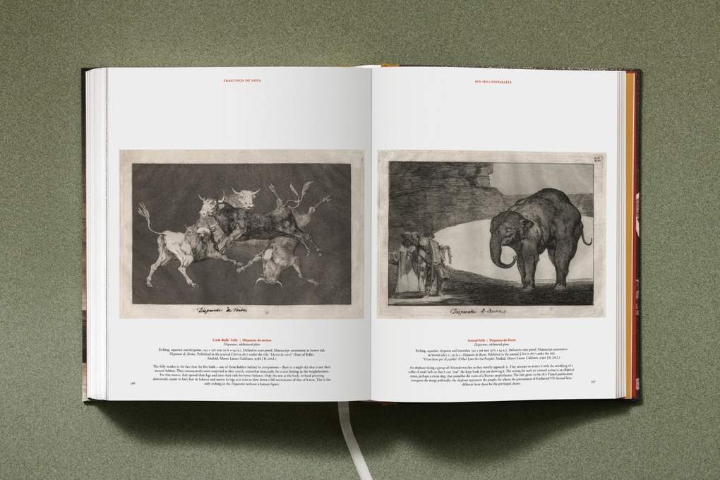 Weitere Ansicht: Goya. The Complete Prints | Anna Reuter, José Manuel Matilla