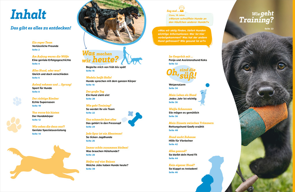 Weitere Ansicht: WAS IST WAS Hunde. Auf die Pfoten, fertig, los! | Christine Paxmann