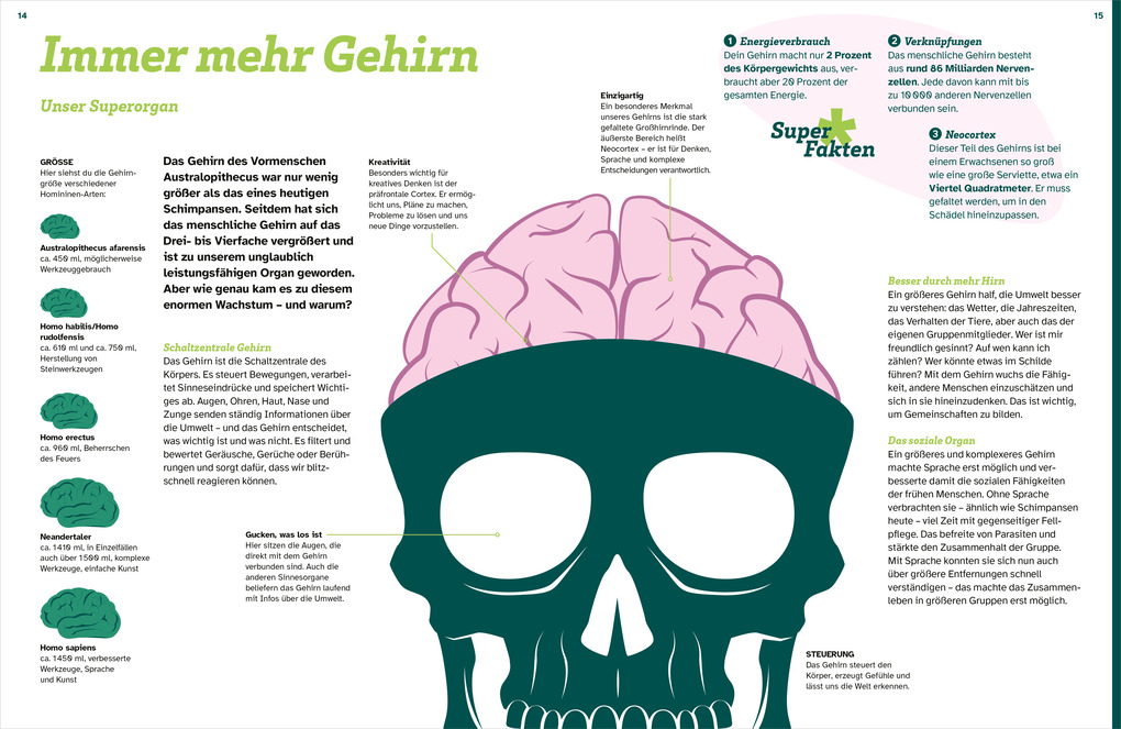 Weitere Ansicht: WAS IST WAS Der Mensch. Von der Steinzeit bis zu dir | Manfred Baur