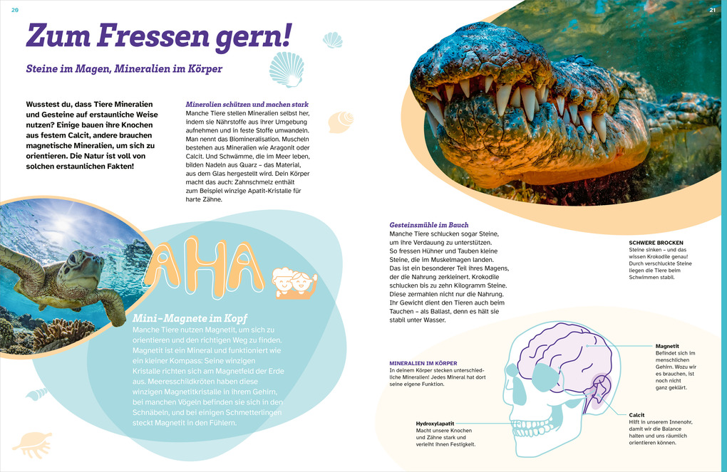 Weitere Ansicht: WAS IST WAS Mineralien und Gesteine. Schätze der Natur | Stefan Peters