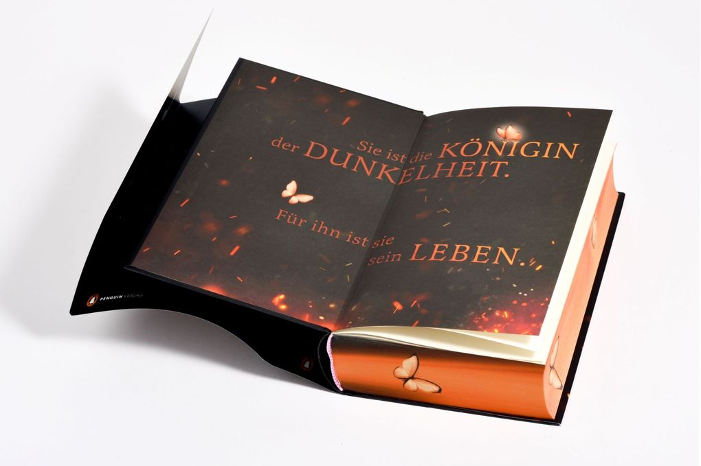 Weitere Ansicht: Brimstone - Königin der Finsternis. Krieger der Wölfe | Callie Hart