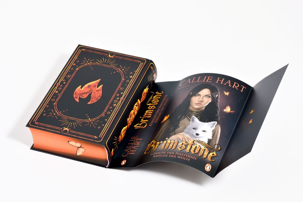 Weitere Ansicht: Brimstone - Königin der Finsternis. Krieger der Wölfe | Callie Hart