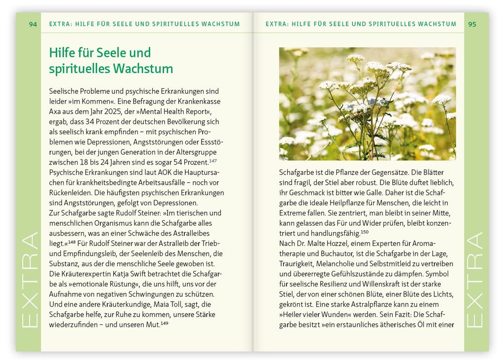 Weitere Ansicht: Die Schafgarbe - Alleskönnerin unter den Heilpflanzen | Barbara Simonsohn