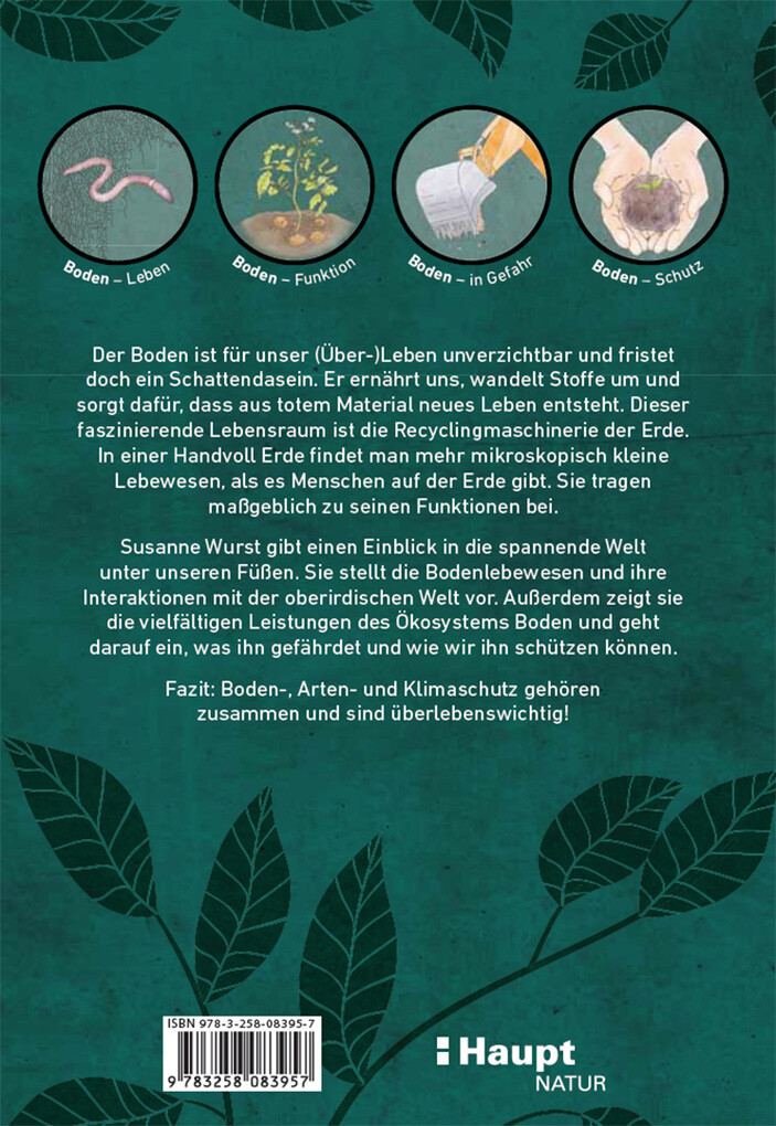 Weitere Ansicht: Der Boden lebt | Susanne Wurst