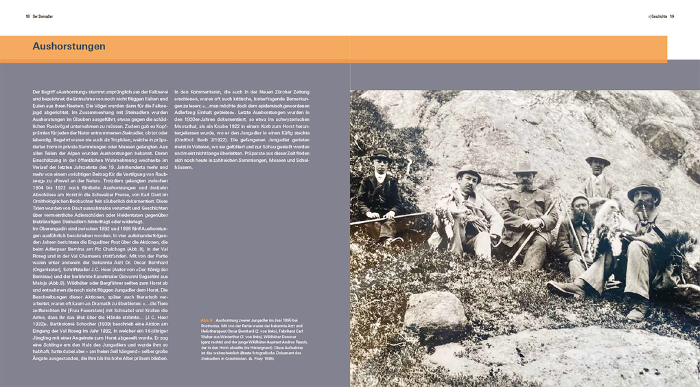 Weitere Ansicht: Der Steinadler | David Jenny, Serge Denis, Heinrich Haller