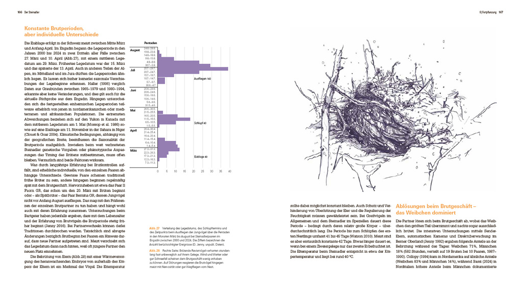 Weitere Ansicht: Der Steinadler | David Jenny, Serge Denis, Heinrich Haller