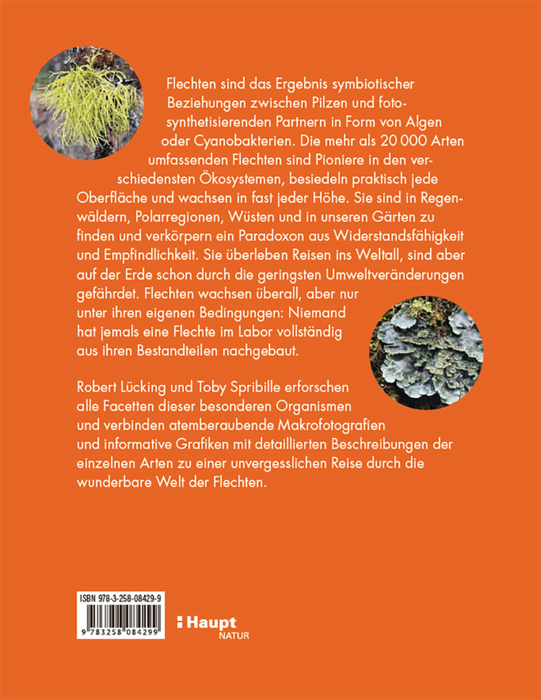 Weitere Ansicht: Flechten | Robert Lücking, Toby Spribille