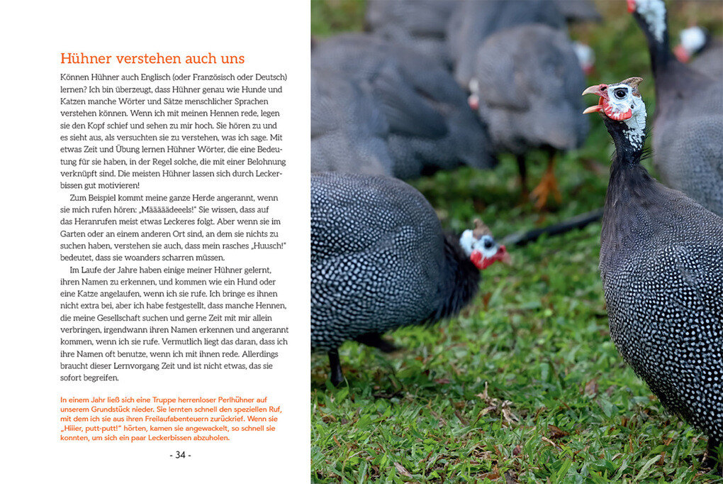 Weitere Ansicht: How to Read a Chicken's Mind | Melissa Caughey