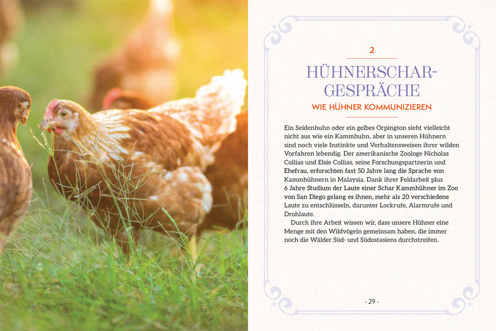 Weitere Ansicht: How to Read a Chicken's Mind | Melissa Caughey