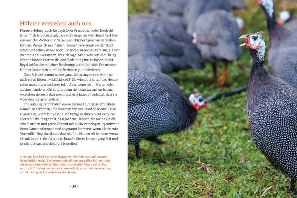 Weitere Ansicht: How to Read a Chicken's Mind | Melissa Caughey