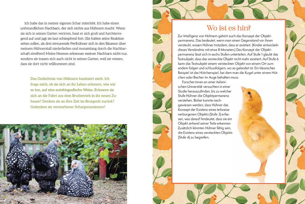 Weitere Ansicht: How to Read a Chicken's Mind | Melissa Caughey
