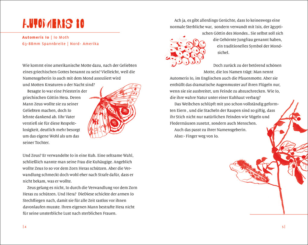 Weitere Ansicht: Nachtfalter | Cornelia Funke