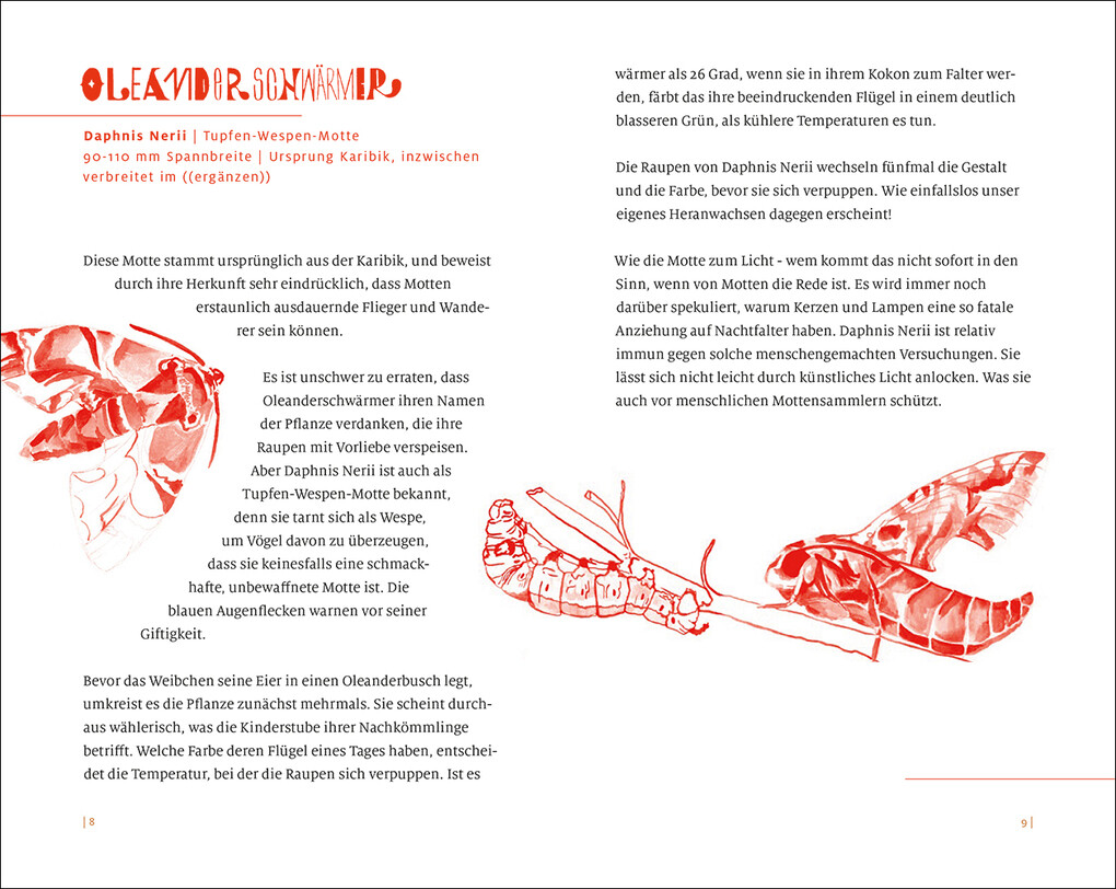 Weitere Ansicht: Nachtfalter | Cornelia Funke