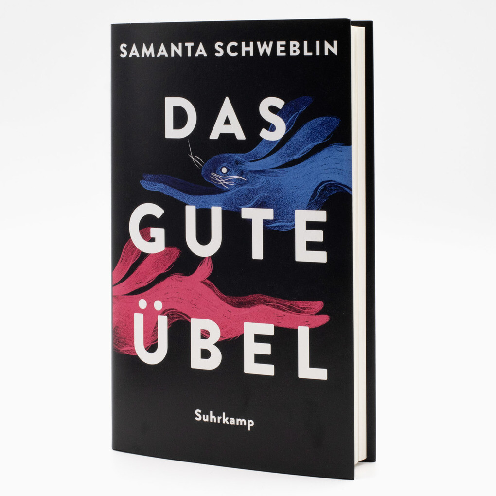 Weitere Ansicht: Das gute Übel | Samanta Schweblin