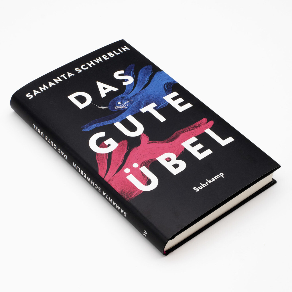 Weitere Ansicht: Das gute Übel | Samanta Schweblin