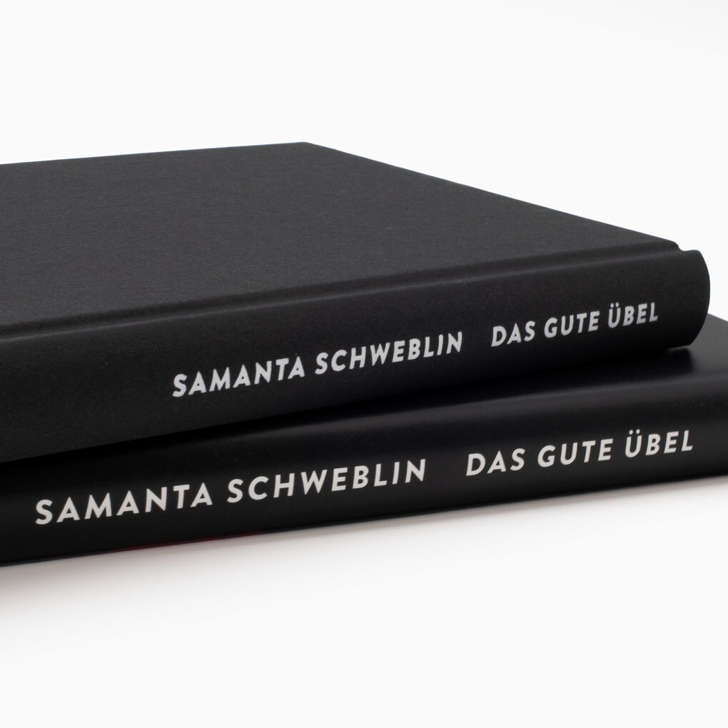 Weitere Ansicht: Das gute Übel | Samanta Schweblin