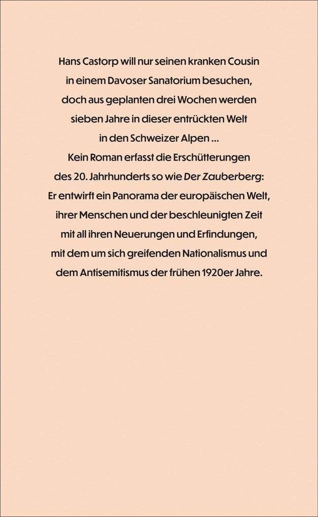 Weitere Ansicht: Der Zauberberg | Thomas Mann