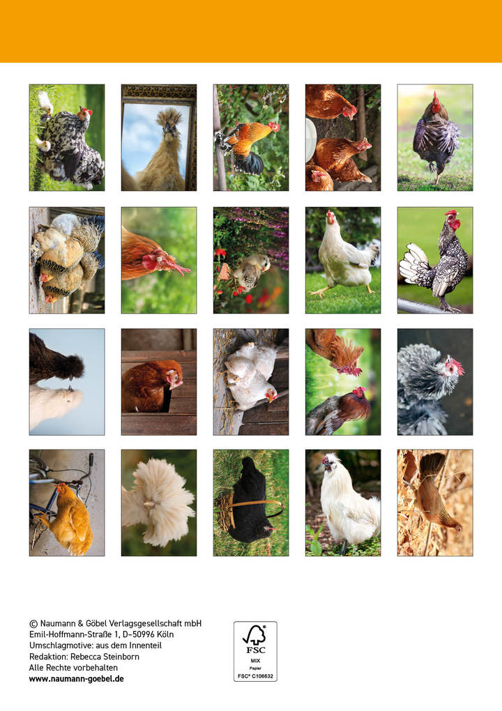 Weitere Ansicht: Postkartenblock Hühner
