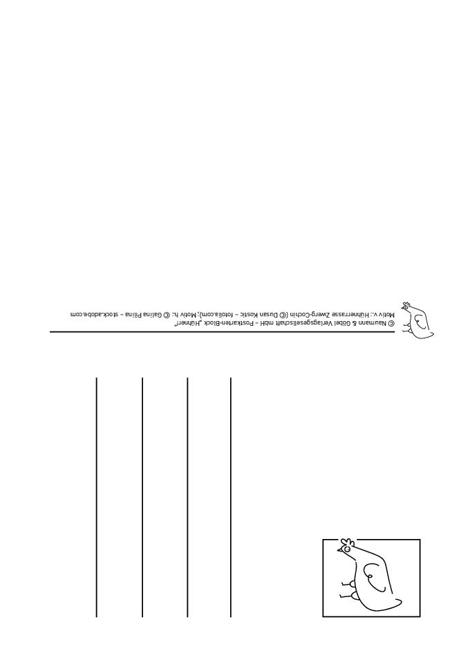 Weitere Ansicht: Postkartenblock Hühner