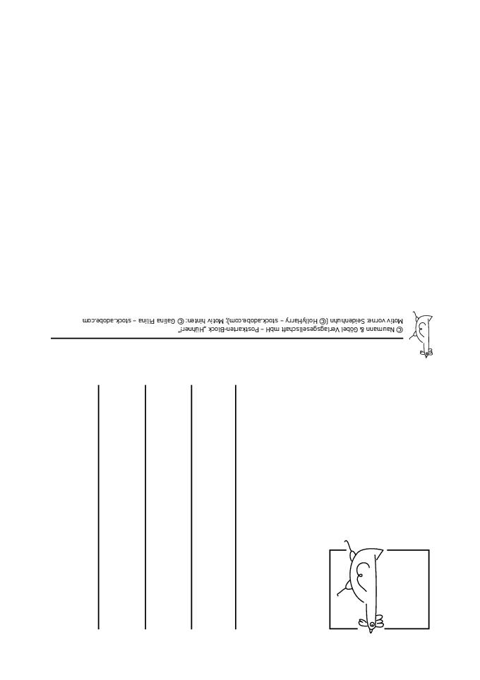 Weitere Ansicht: Postkartenblock Hühner