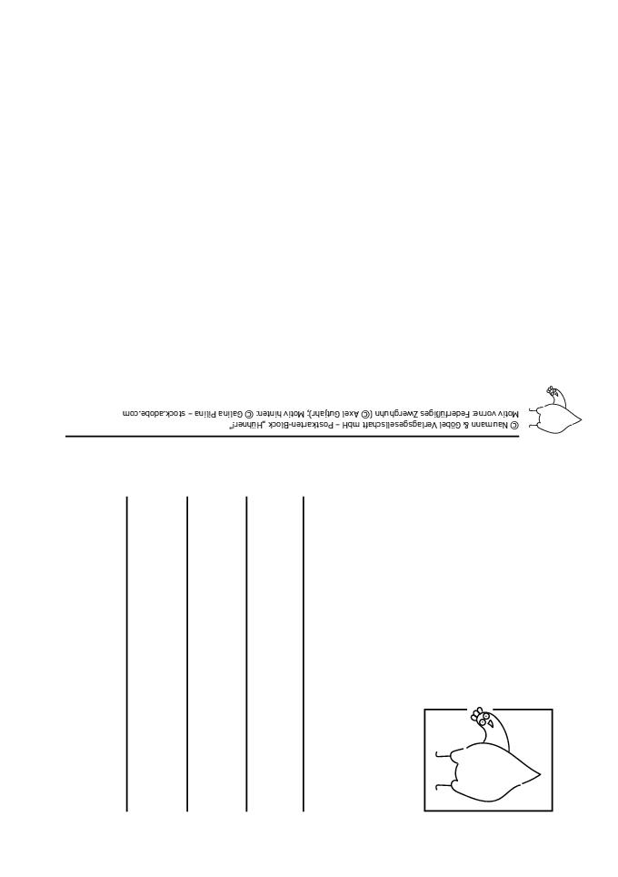Weitere Ansicht: Postkartenblock Hühner