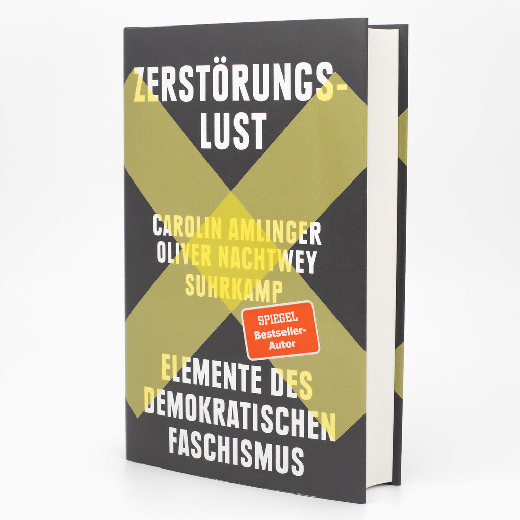 Weitere Ansicht: Zerstörungslust | Oliver Nachtwey, Carolin Amlinger