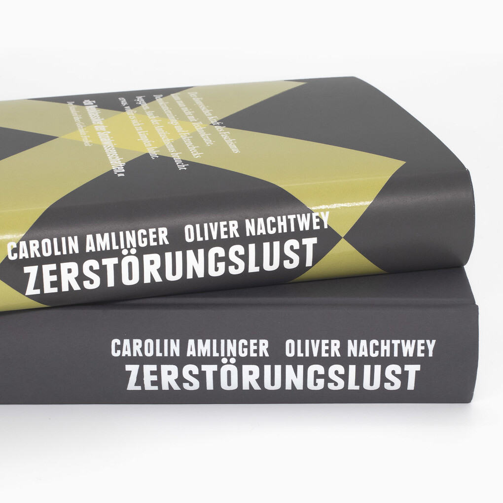 Weitere Ansicht: Zerstörungslust | Oliver Nachtwey, Carolin Amlinger