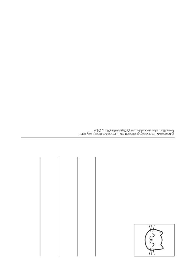 Weitere Ansicht: Postkartenblock Crazy Cats