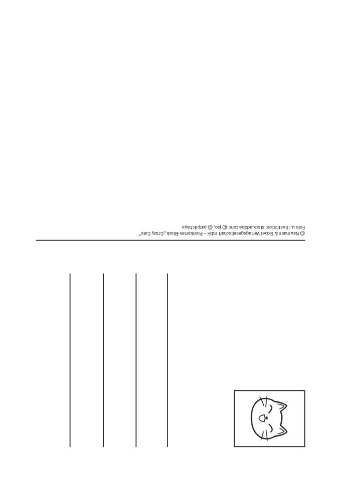 Weitere Ansicht: Postkartenblock Crazy Cats