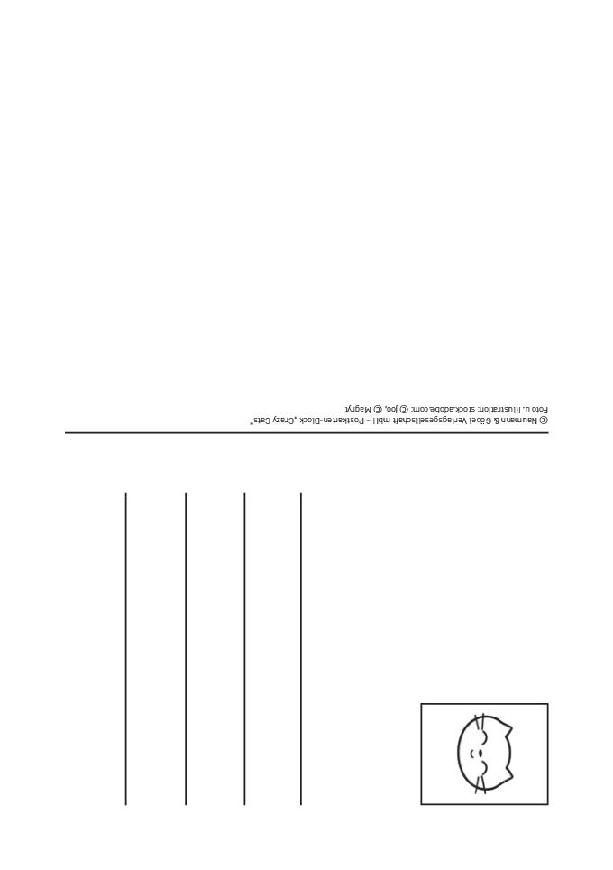 Weitere Ansicht: Postkartenblock Crazy Cats