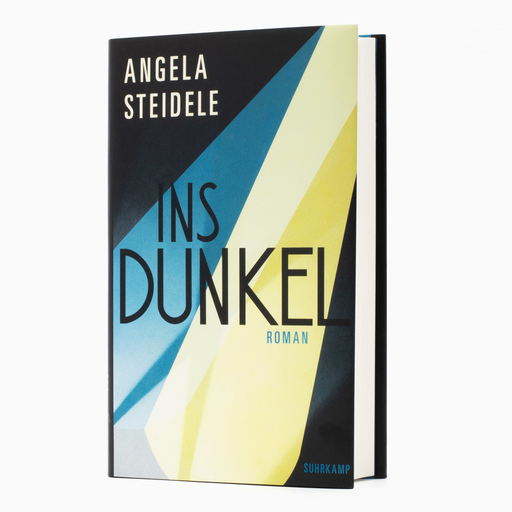 Weitere Ansicht: Ins Dunkel | Angela Steidele