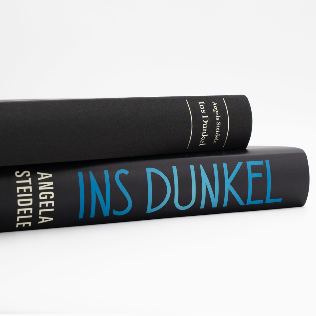 Weitere Ansicht: Ins Dunkel | Angela Steidele