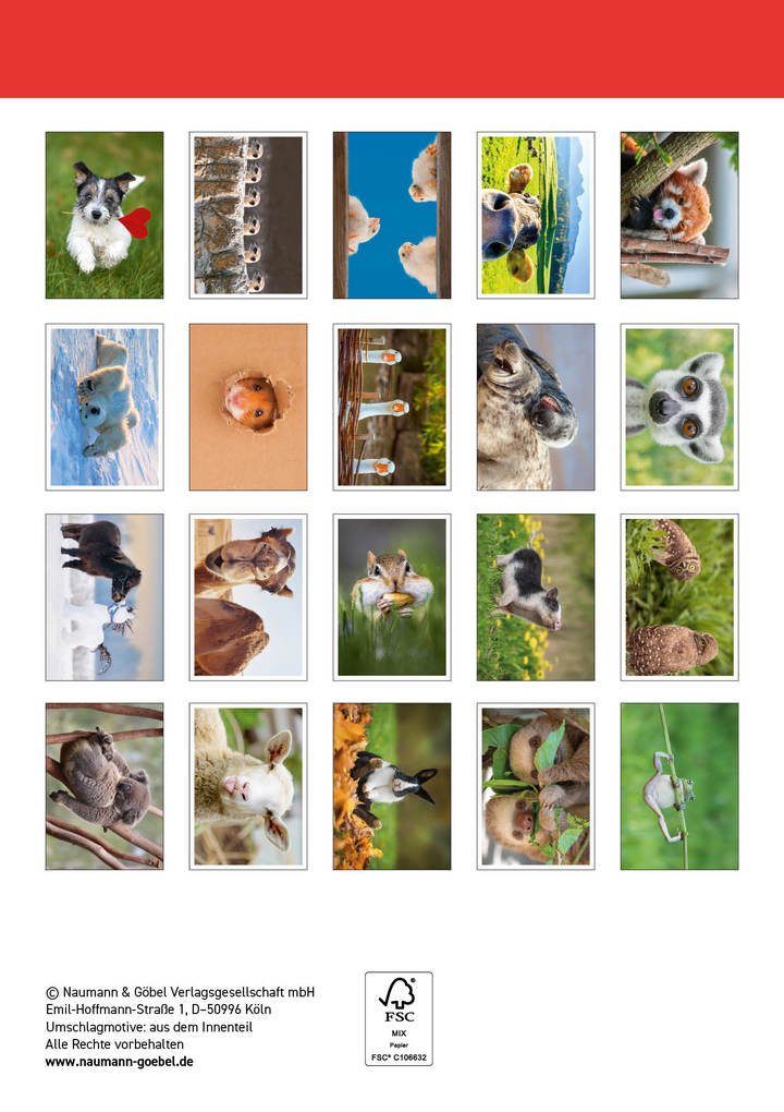 Weitere Ansicht: Postkartenblock Lustige Tiere