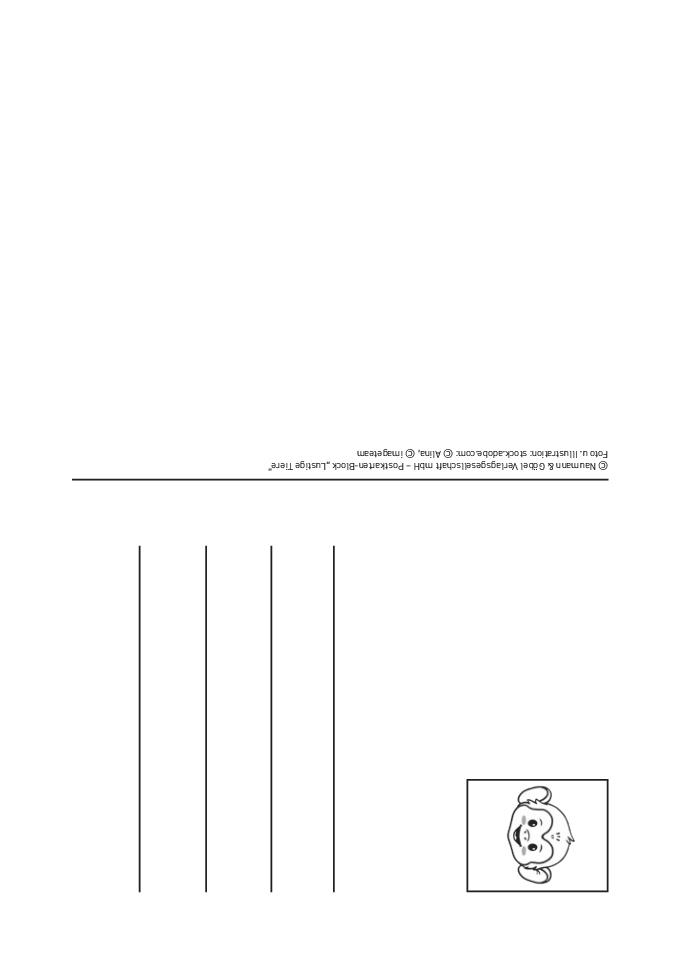 Weitere Ansicht: Postkartenblock Lustige Tiere