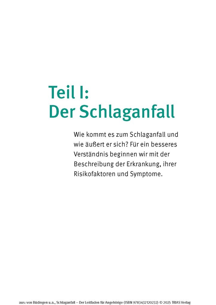 Weitere Ansicht: Schlaganfall - Der Leitfaden für Angehörige | Hans Joachim von Büdingen