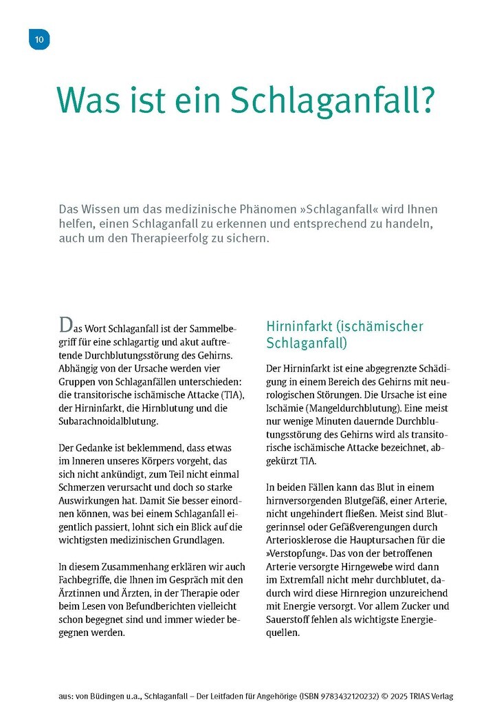 Weitere Ansicht: Schlaganfall - Der Leitfaden für Angehörige | Hans Joachim von Büdingen