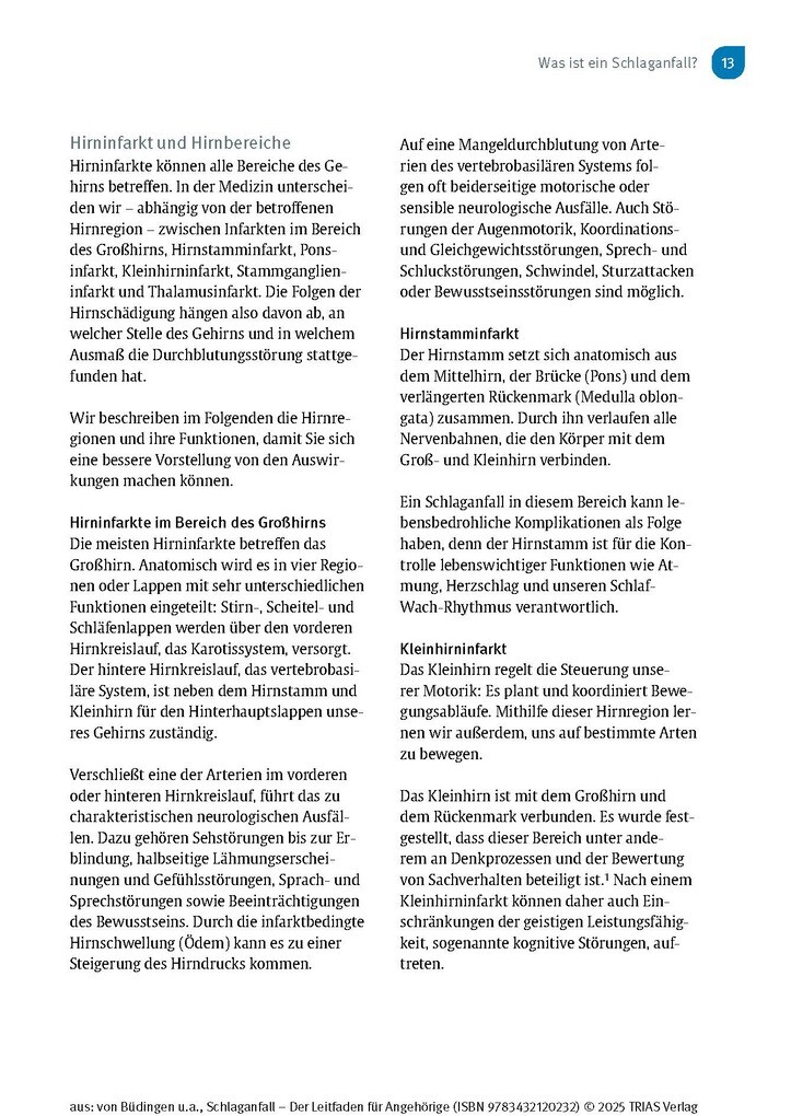 Weitere Ansicht: Schlaganfall - Der Leitfaden für Angehörige | Hans Joachim von Büdingen