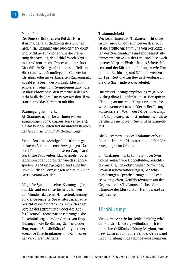 Weitere Ansicht: Schlaganfall - Der Leitfaden für Angehörige | Hans Joachim von Büdingen