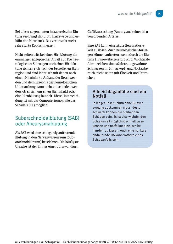 Weitere Ansicht: Schlaganfall - Der Leitfaden für Angehörige | Hans Joachim von Büdingen