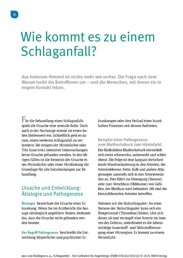 Weitere Ansicht: Schlaganfall - Der Leitfaden für Angehörige | Hans Joachim von Büdingen