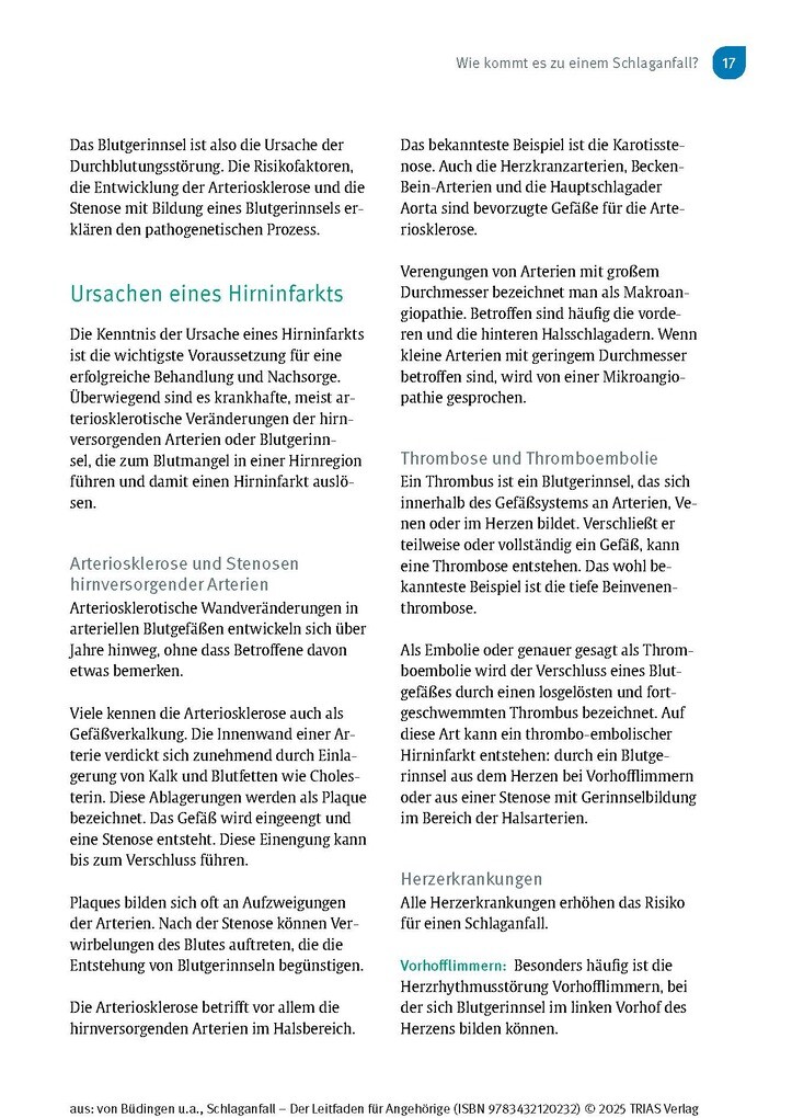 Weitere Ansicht: Schlaganfall - Der Leitfaden für Angehörige | Hans Joachim von Büdingen