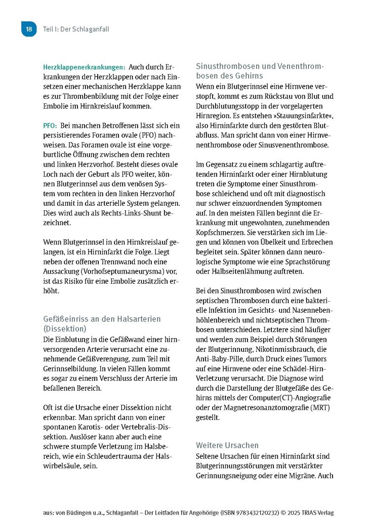 Weitere Ansicht: Schlaganfall - Der Leitfaden für Angehörige | Hans Joachim von Büdingen