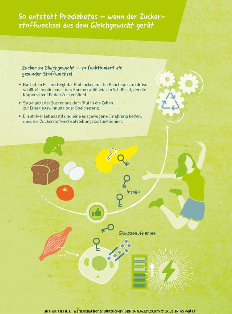 Weitere Ansicht: Warnsignal hoher Blutzucker | Karsten Müssig, Andrea Stallmann, Marlen Harms